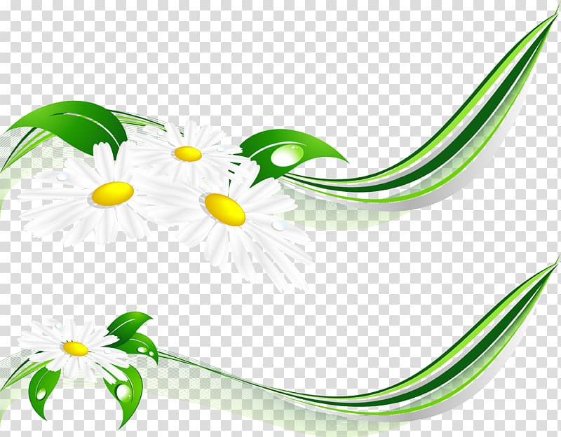 Raster graphics , daisies transparent background PNG clipart