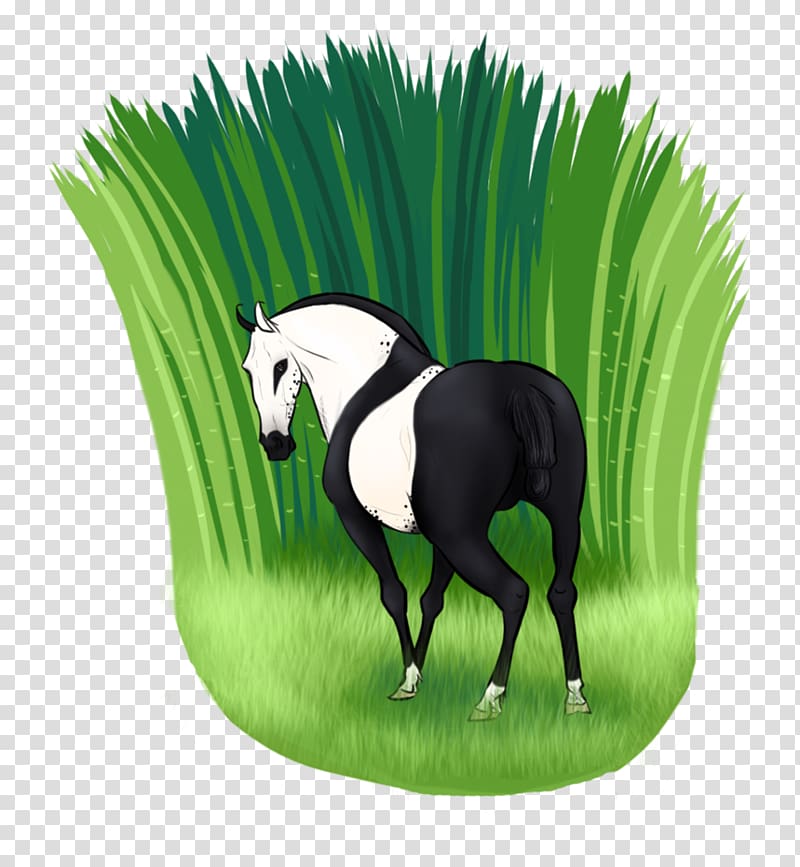 Mustang Foal Mare Stallion Halter, Mounted Archery Training transparent background PNG clipart