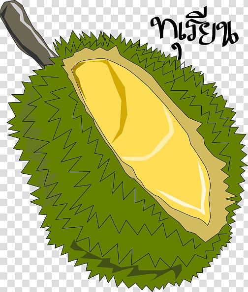 Jackfruit Durian , Durian transparent background PNG clipart
