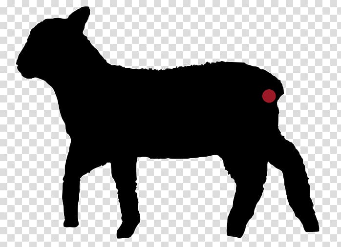 Boston Terrier French Bulldog West Highland White Terrier Black Russian Terrier , puppy transparent background PNG clipart