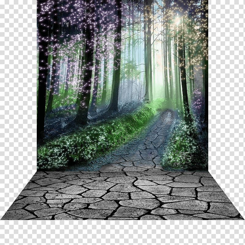 gray concrete pathway surrounded by black trees illustration, Enchanted forest Desktop , forrest transparent background PNG clipart