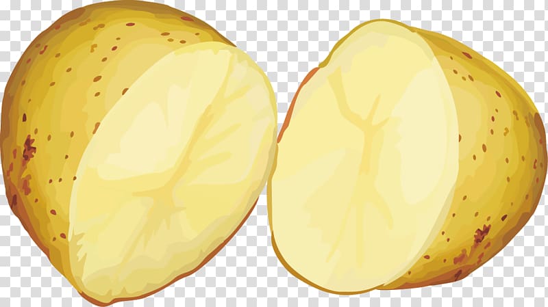 Yukon Gold potato Euclidean Vegetable, Fruits and vegetables material transparent background PNG clipart