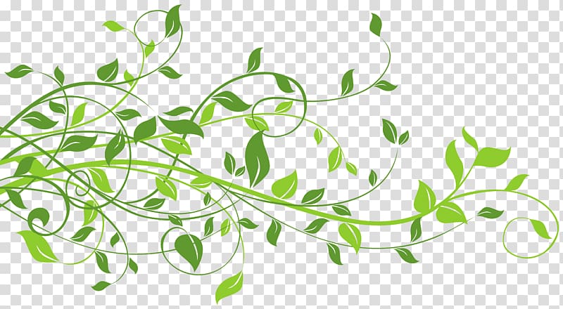 Leaf , Spring Decor with Leaves , green leaves illustration transparent background PNG clipart