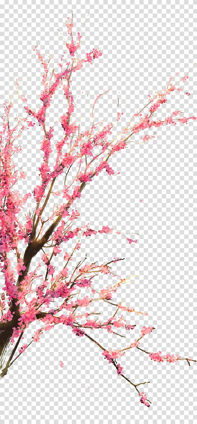 Cherry garden trees transparent background PNG clipart