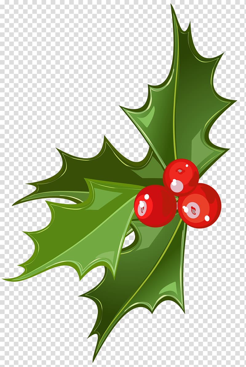 Christmas Mistletoe Common holly , Christmas Mistletoe , green leaf and red berry illustration transparent background PNG clipart