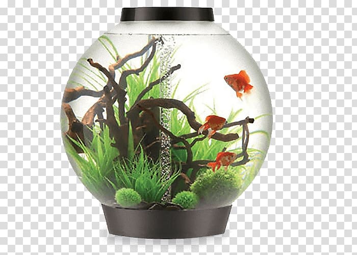 Aquariums Pet OASE UK Ltd Fish, Aquarium transparent background PNG clipart