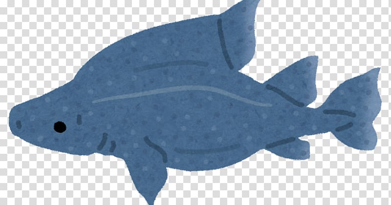 Marine biology Marine mammal Fauna Animal, nine fish transparent background PNG clipart