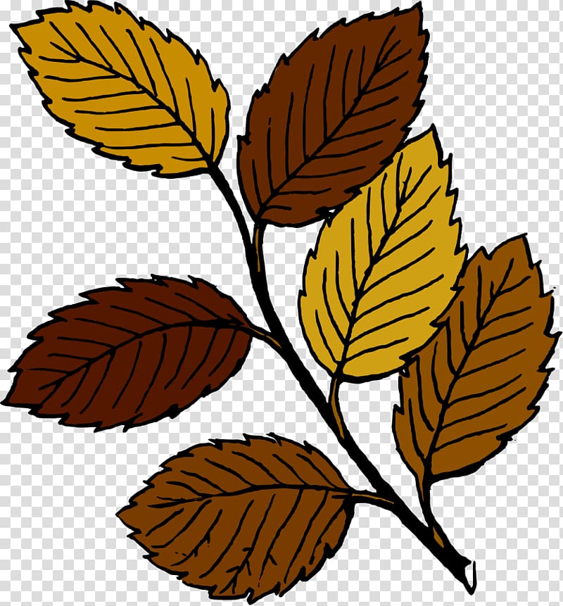 Autumn leaf color Free content , Fall Leaves transparent background PNG clipart