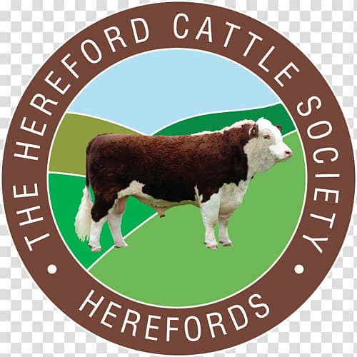 The Hereford Cattle Society Beefmaster Limousin cattle Angus cattle, others transparent background PNG clipart
