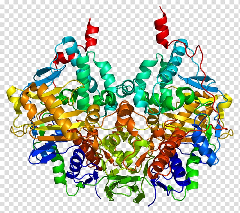 Monoamine oxidase B Monoamine oxidase inhibitor Monoamine neurotransmitter Monoamine oxidase A, data structure transparent background PNG clipart
