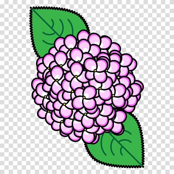 Flower French hydrangea Monochrome painting, pink hydrangea transparent background PNG clipart