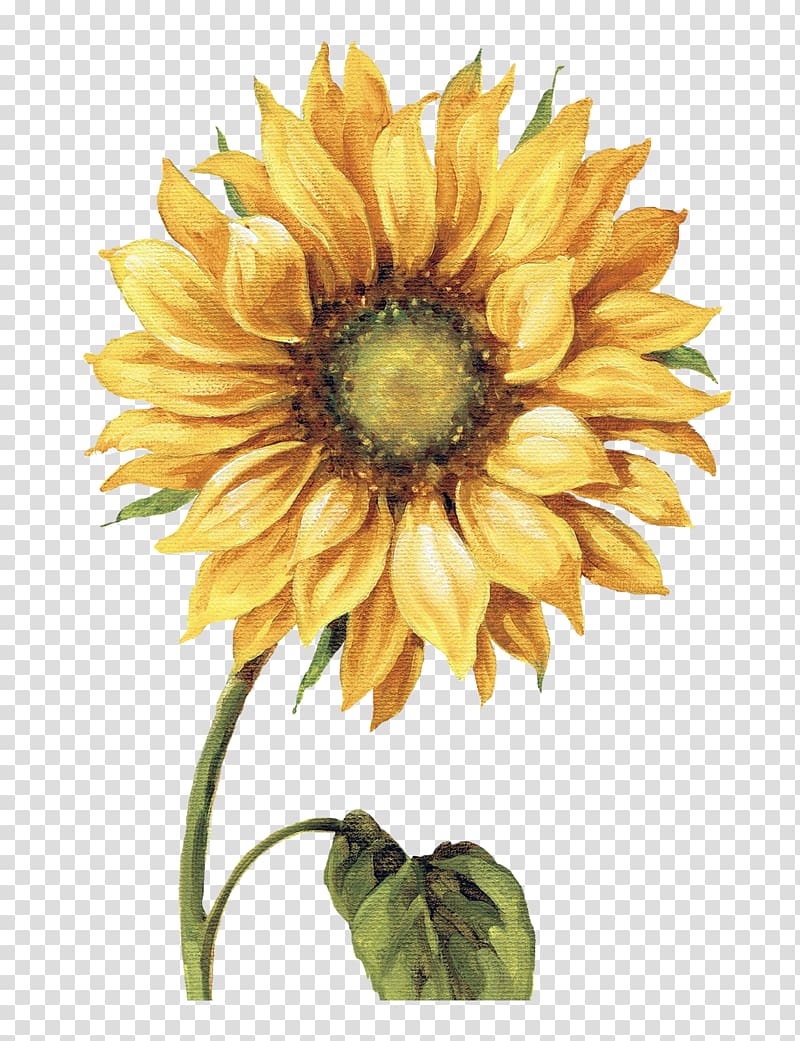 yellow Sunflower painting, Work of art Drawing Common sunflower Printmaking Painting, Painting transparent background PNG clipart