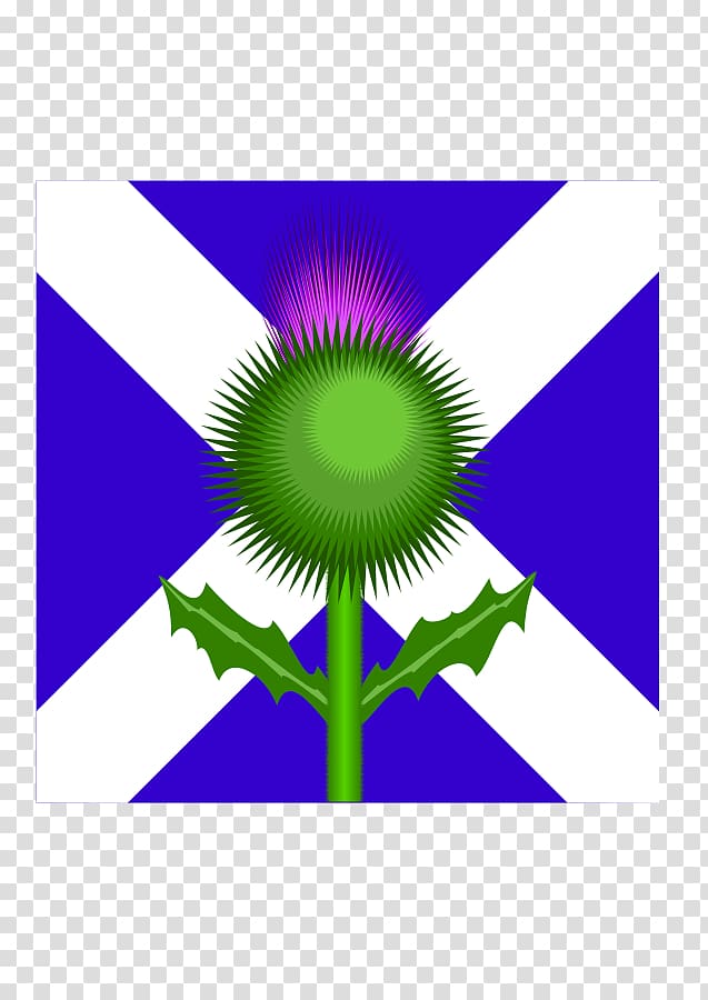 Flag of Scotland Thistle , Scotland transparent background PNG clipart