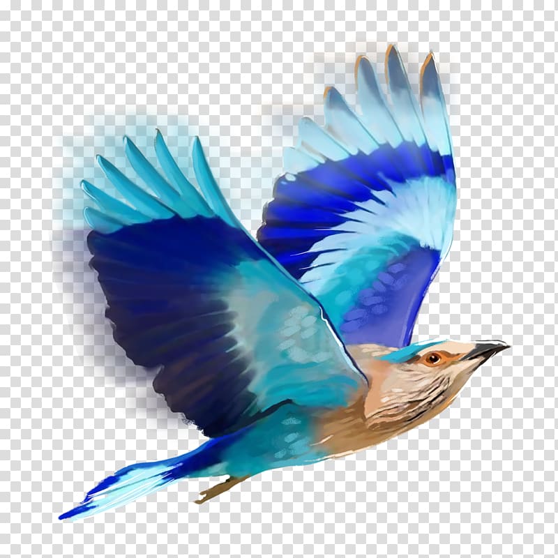 Bird Editing PicsArt Studio, flock of birds transparent background PNG clipart