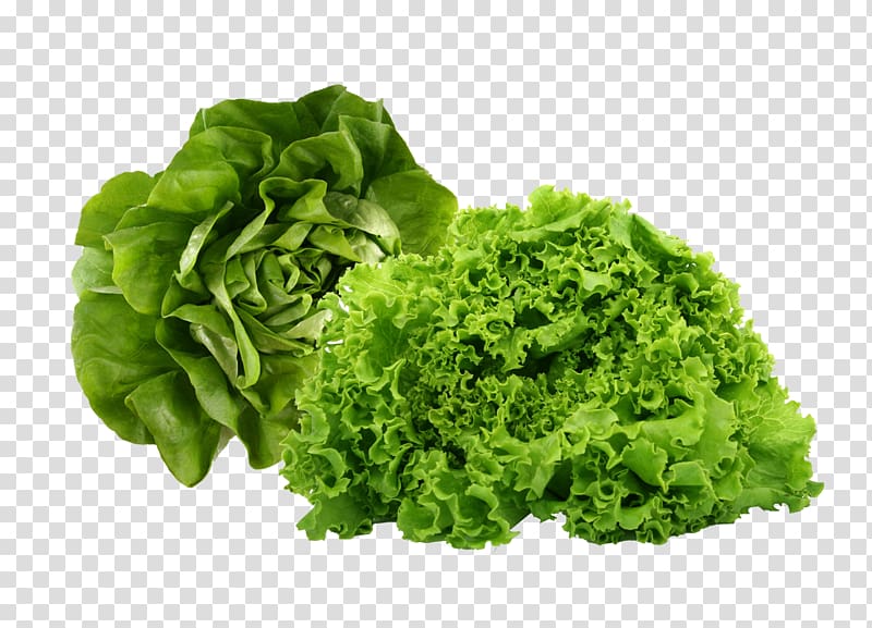 Leaf vegetable Health Food Butterhead lettuce, health transparent background PNG clipart
