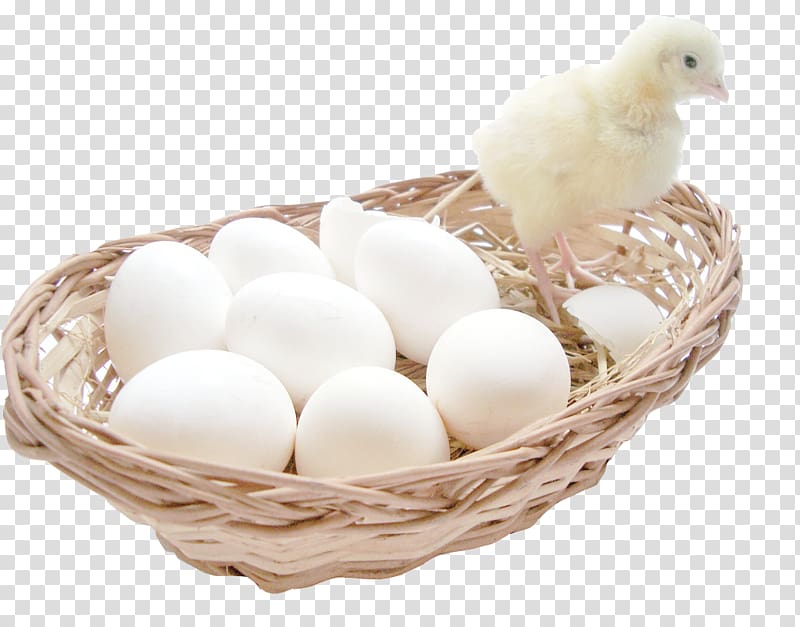 Salted duck egg Chicken egg Breakfast, Chicken eggs transparent background PNG clipart