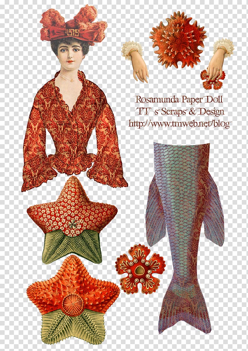 Paper doll Collage Toy, doll transparent background PNG clipart