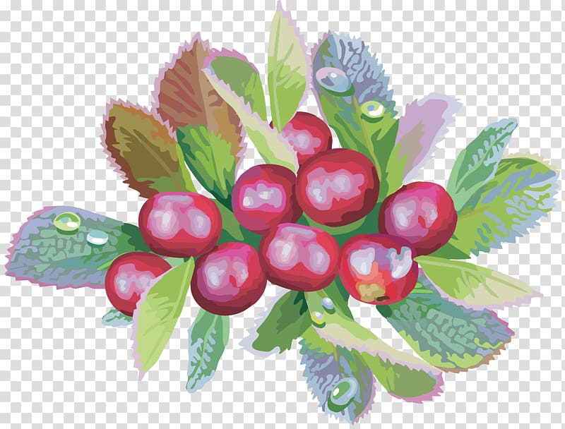 Bilberry Food Cranberry, dates transparent background PNG clipart