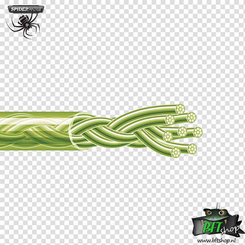 Braided fishing line Weaving Angling, moss transparent background PNG clipart