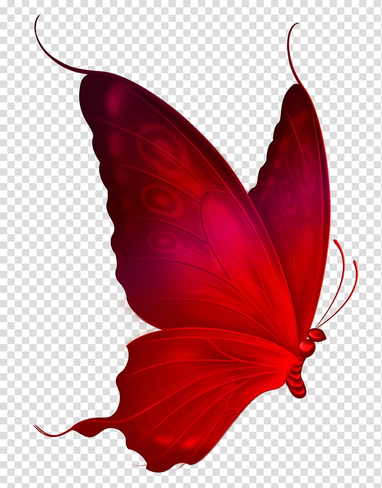 Monarch butterfly Red , lantern element transparent background PNG clipart