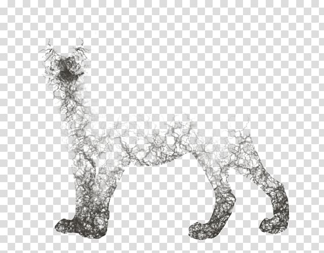 Cat Canidae Dog Paw Pet, Cat transparent background PNG clipart