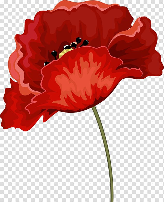Common poppy Red Rhododendron Flower, others transparent background PNG clipart