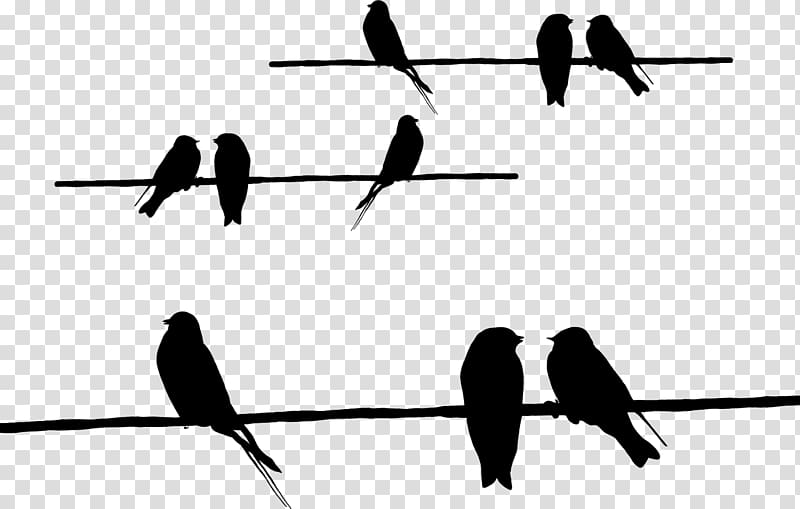 Barbed wire Beak Silhouette Feather Font, Silhouette transparent background PNG clipart