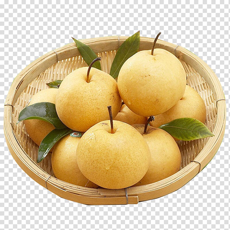Laiyang Asian pear Pyrus xd7 bretschneideri Pyrus nivalis Fruit, Farm pear transparent background PNG clipart