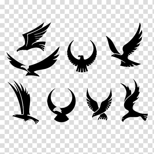 Bird Tattoo PNG Transparent Images Free Download  Vector Files  Pngtree