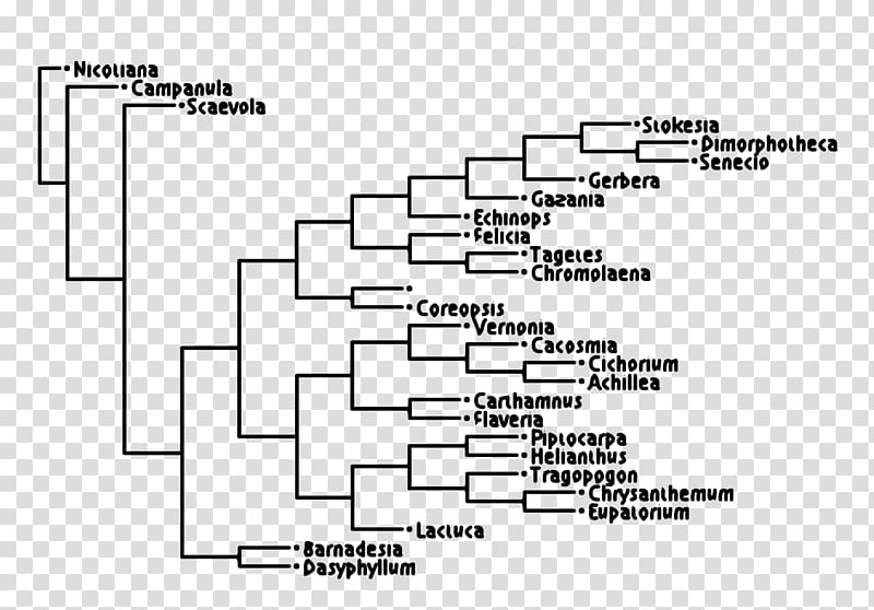 Filograma Cladogram Phylogenetic tree Dendroscope Phylogenetics, others transparent background PNG clipart