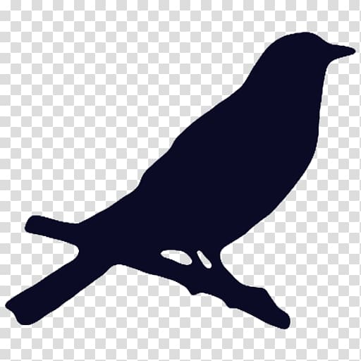 American crow Bird Beak Koppel, vogelschwarz transparent background PNG clipart