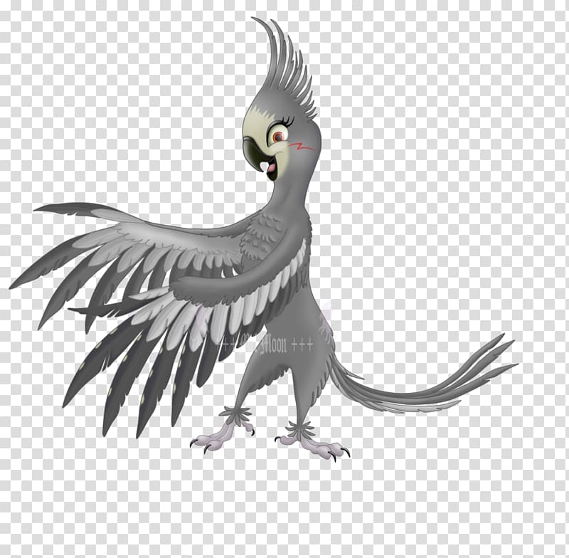 Normal grey cockatiel Parrot Rio Fan art, parrot transparent background PNG clipart