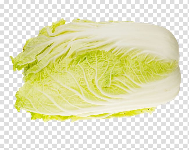 Romaine lettuce Napa cabbage Chinese broccoli, Sketch 3d creative fruit transparent background PNG clipart