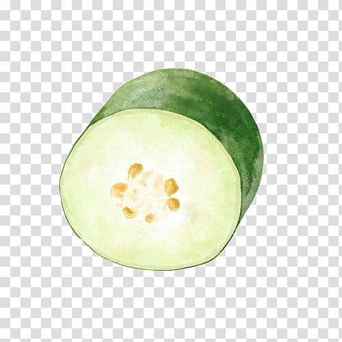 Wax gourd u51cfu80a5 Food Melon, Melon hand painting material transparent background PNG clipart