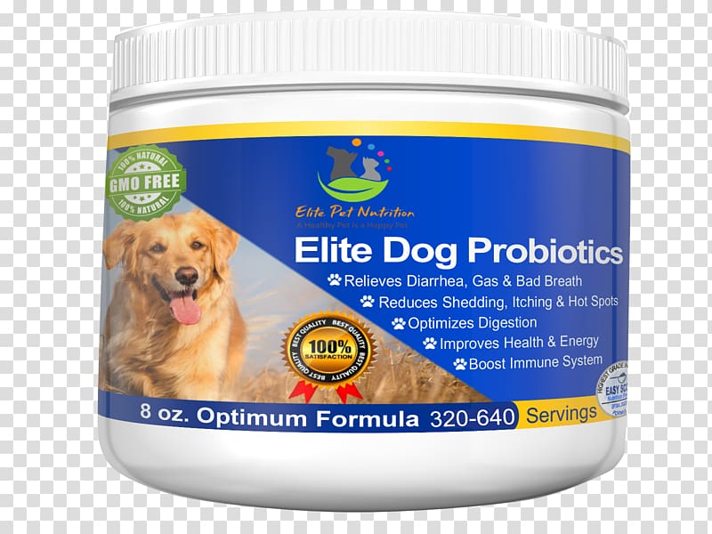 Dog Probiotic Dietary supplement Cat Veterinarian, Dog transparent background PNG clipart