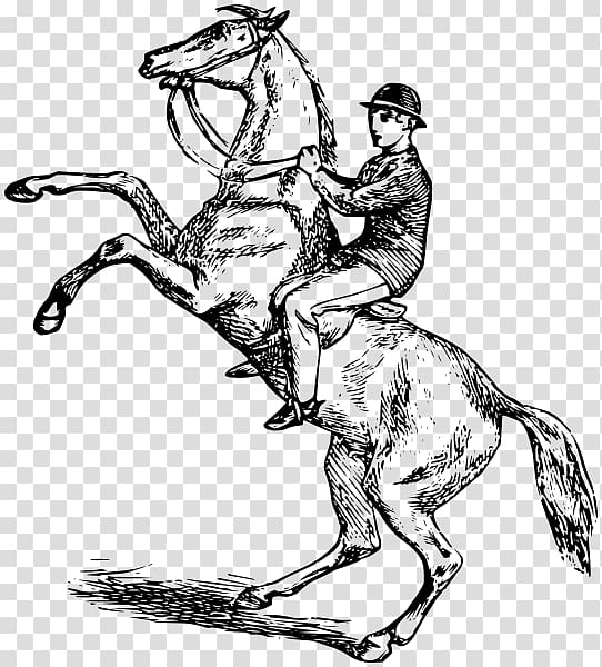 Horse Equestrian Rearing Drawing Bucking, horse transparent background PNG clipart
