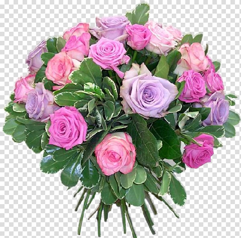 Cut flowers Limonium Floristry Flower delivery, real flowers transparent background PNG clipart