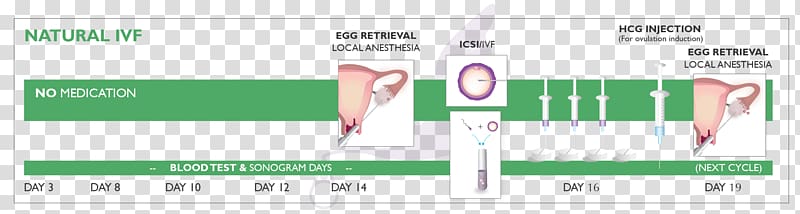 In vitro fertilisation Natural cycle in vitro fertilization Embryo Surrogacy, motherhood transparent background PNG clipart