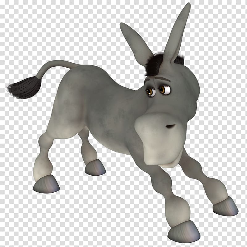 Hinny Horse Donkey, donkey transparent background PNG clipart