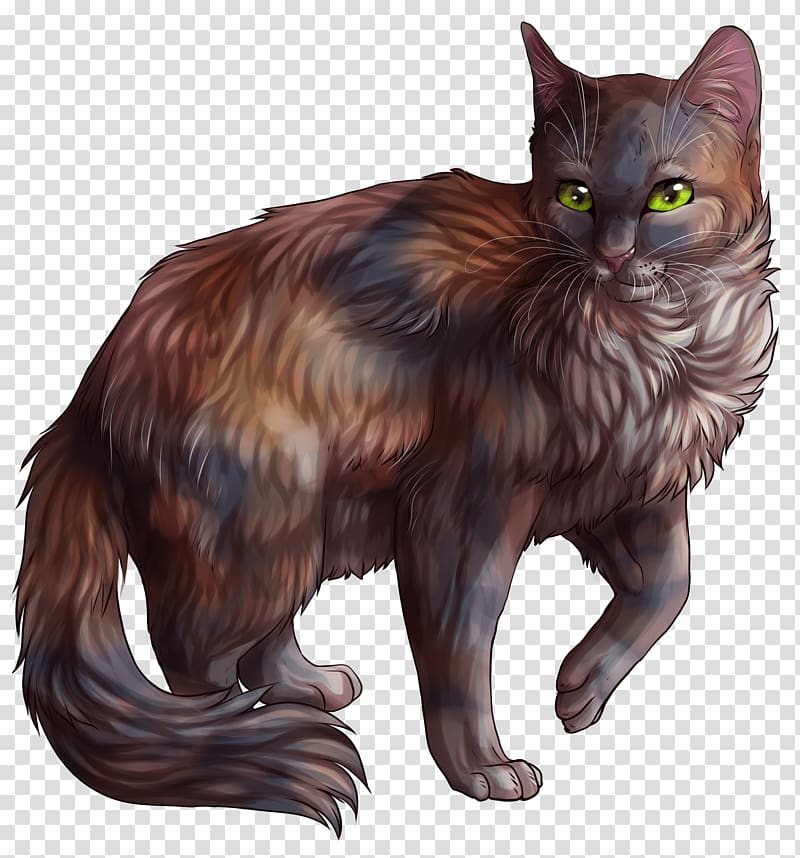 Cat Warriors Tawnypelt Brackenfur Feathertail, Cat transparent background PNG clipart