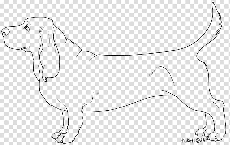 Dog breed Beagle Puppy Line art Sketch, puppy transparent background PNG clipart