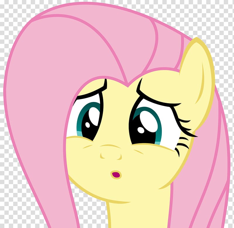 Filli Vanilli Face Pony Cat, Face transparent background PNG clipart