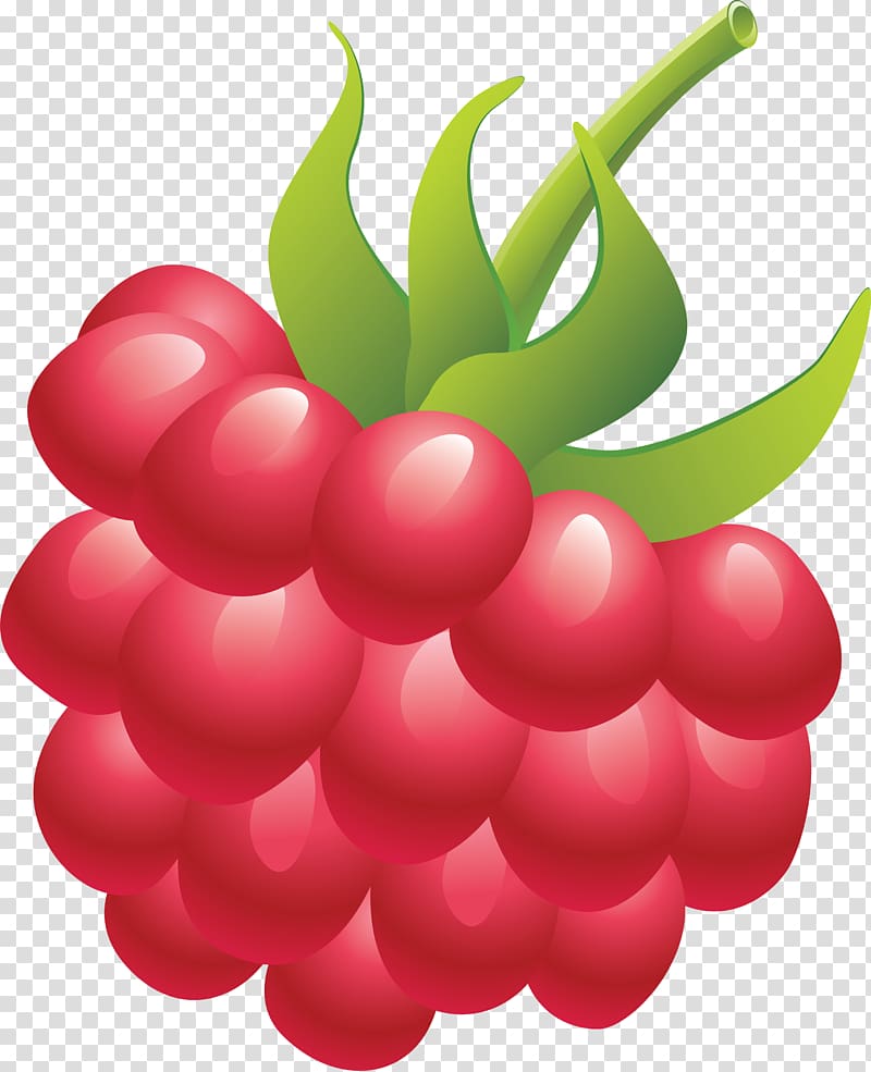 Raspberry Fruit , creative cartoon fruit transparent background PNG clipart