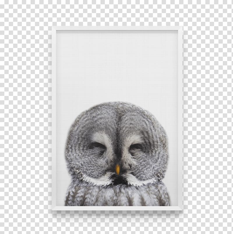 Owl Canvas print Bird Art, owl transparent background PNG clipart