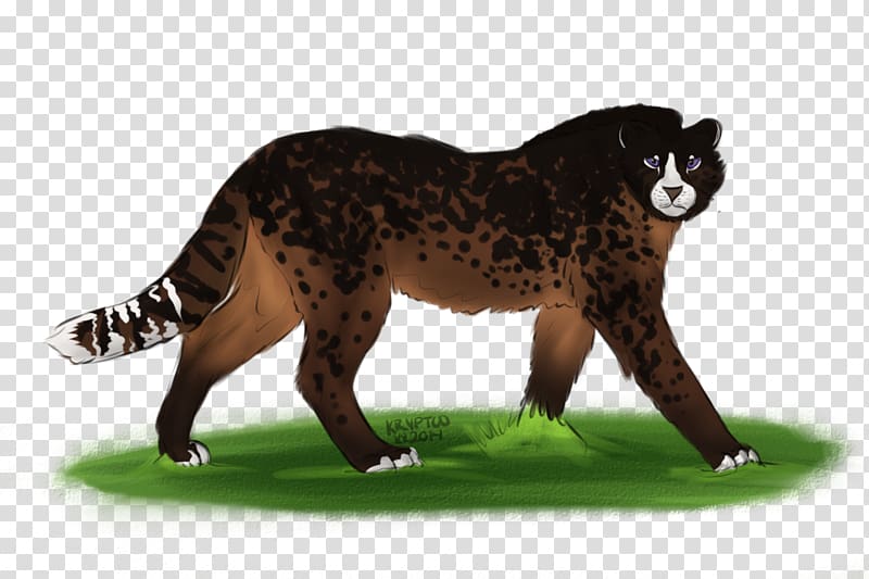 Big cat Terrestrial animal Puma Wildlife, Cat transparent background PNG clipart