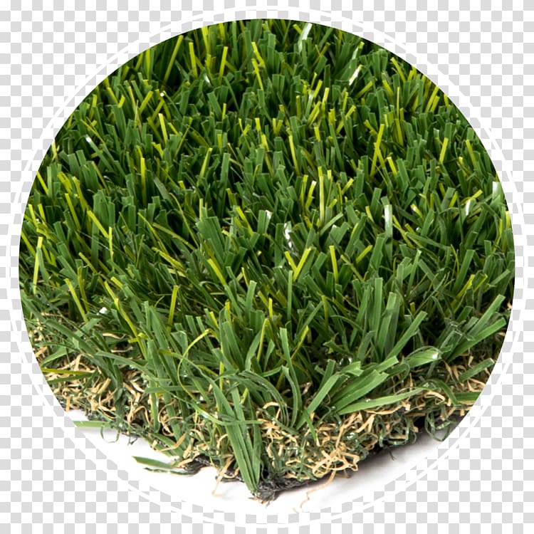 Artificial turf Lawn Sod Garden Landscape design, others transparent background PNG clipart