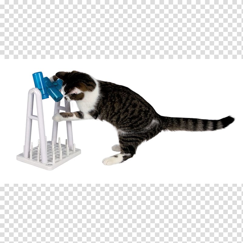Cat play and toys Cat Food Mouse Scratching post, turn around and look around transparent background PNG clipart