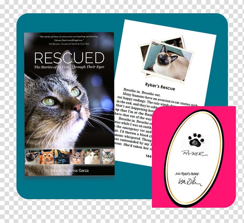 Rescued: The Stories of 12 Cats, Through Their Eyes Whiskers Tonkinese cat Mouse Kitten, magic book transparent background PNG clipart