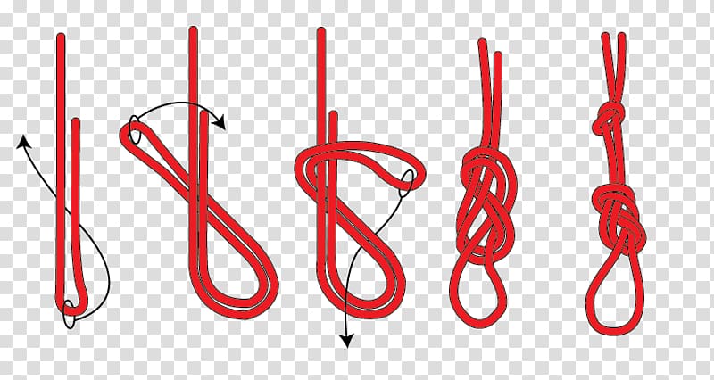 Figure-eight knot Chain sinnet Bowline on a bight, tie the knot transparent background PNG clipart
