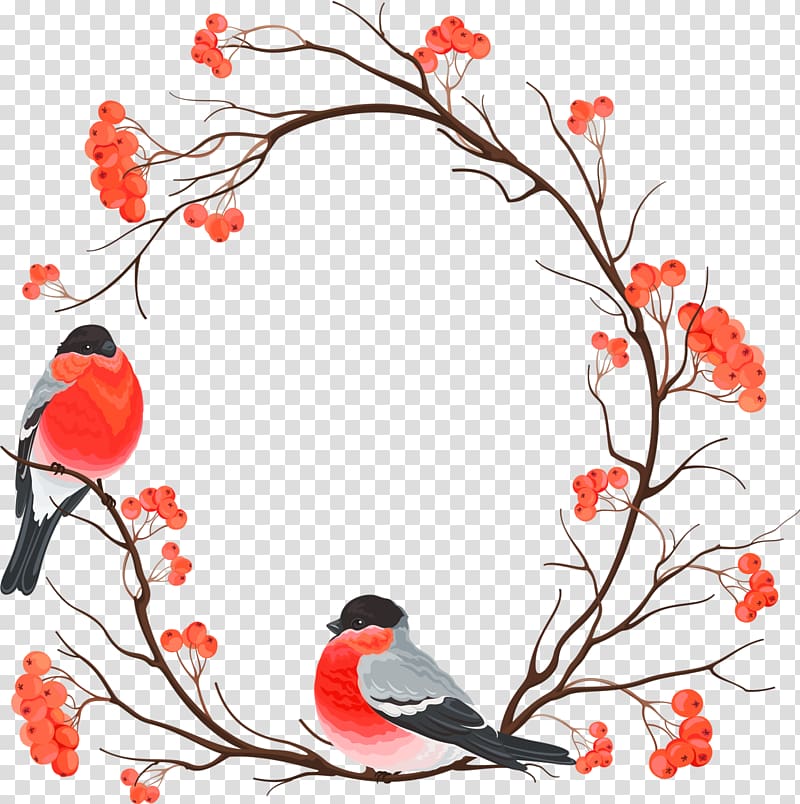 Bird Christmas European robin Painting Art, watercolor bird transparent background PNG clipart
